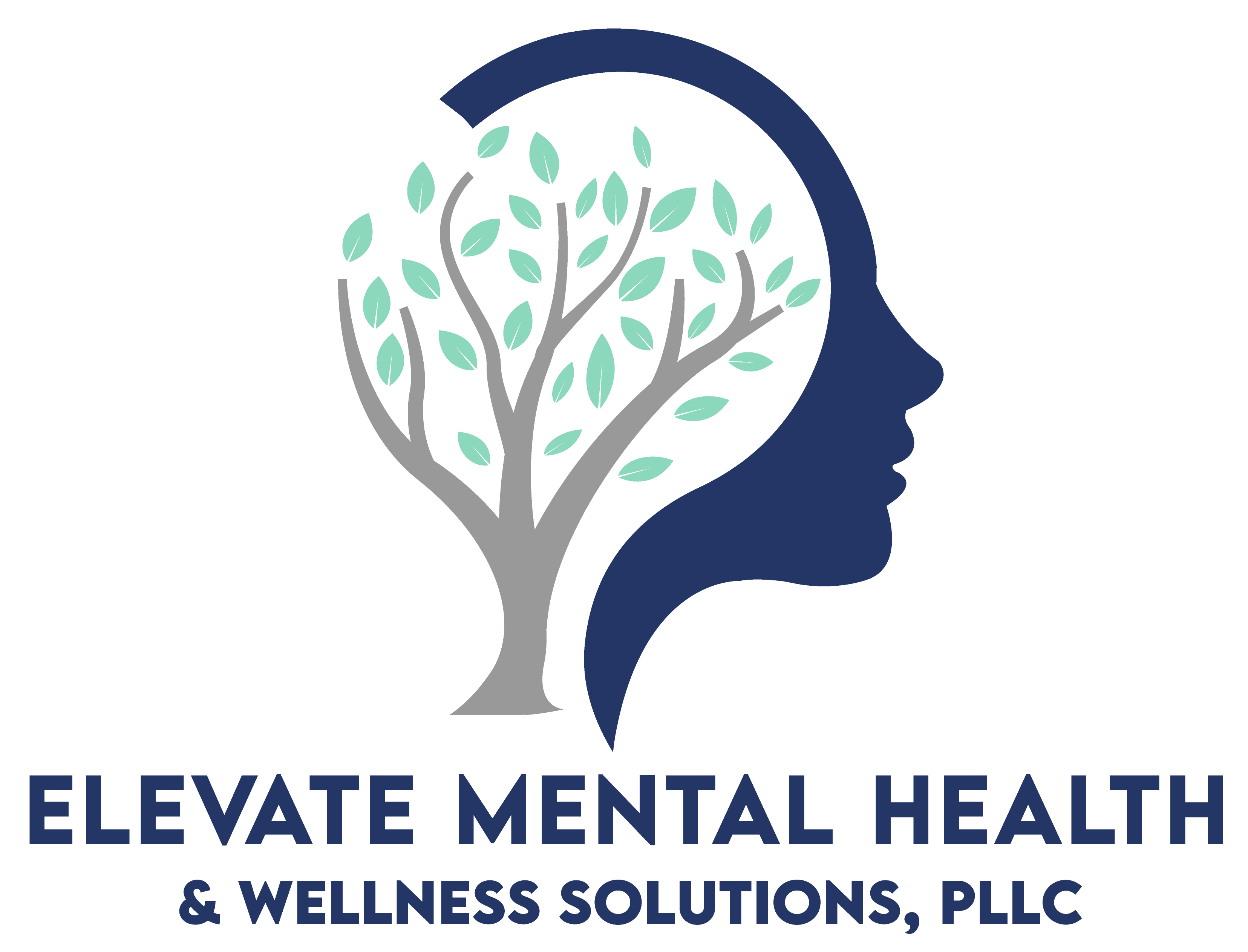 Elevate Mental Health Solutions